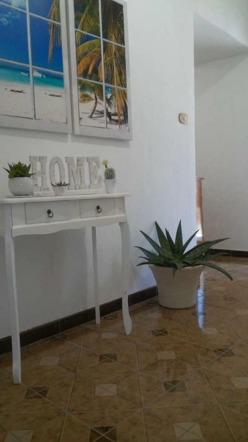 Il Centro Storico Apartment คาตาเนีย ภายนอก รูปภาพ